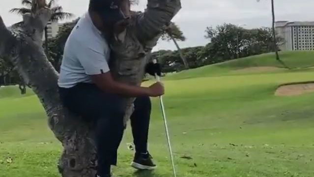 Golfer hits shot whilst sitting in a tree, but what's the ruling?